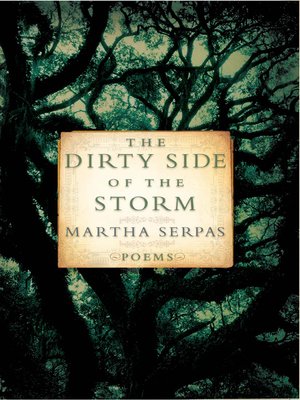cover image of The Dirty Side of the Storm